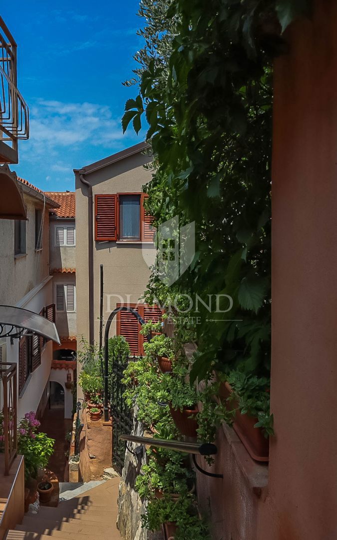 Dva apartmaja pripravljena za najem na vrhunski lokaciji v Rovinju