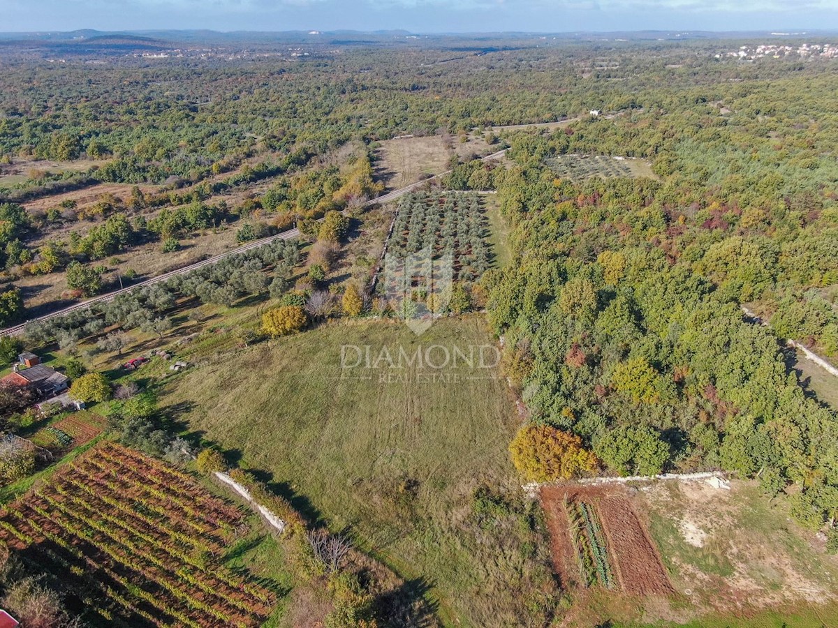 Svetvinčenat, okolica, lepo zemljišče na mirni lokaciji