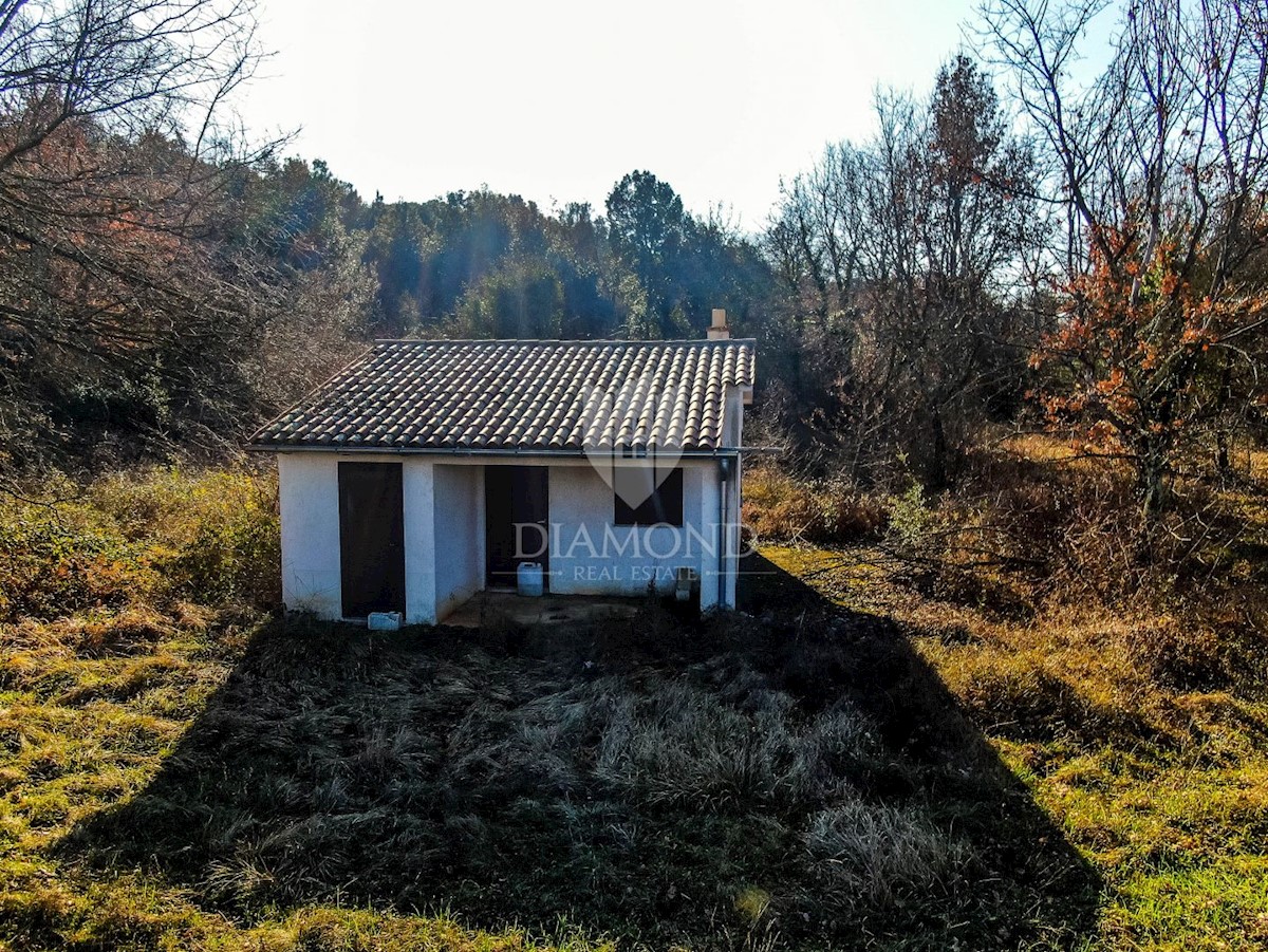 Hiša v oazi miru in narave nedaleč od Rovinja