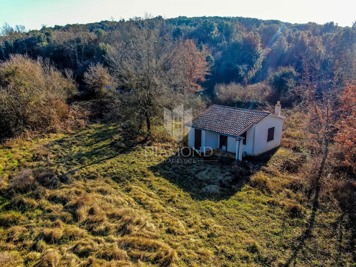 Hiša v oazi miru in narave nedaleč od Rovinja