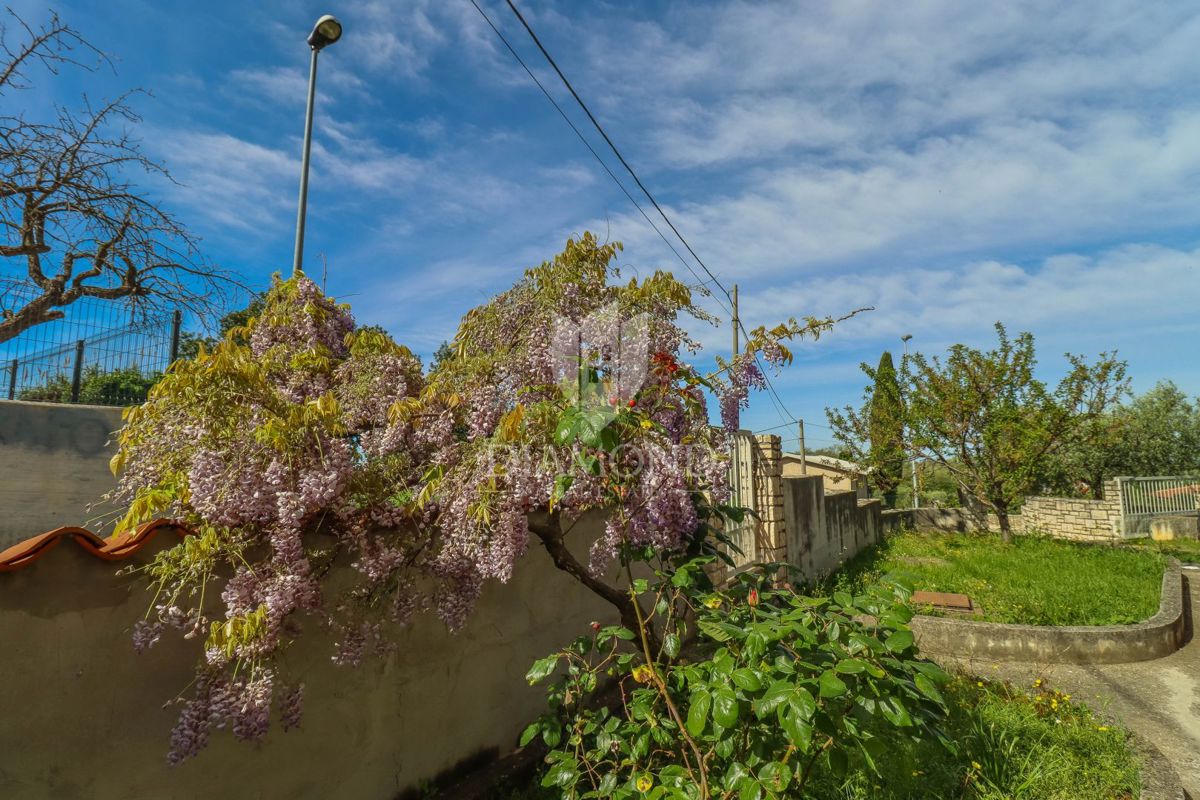 Brtonigla, samostojna hiša s pogledom na morje!