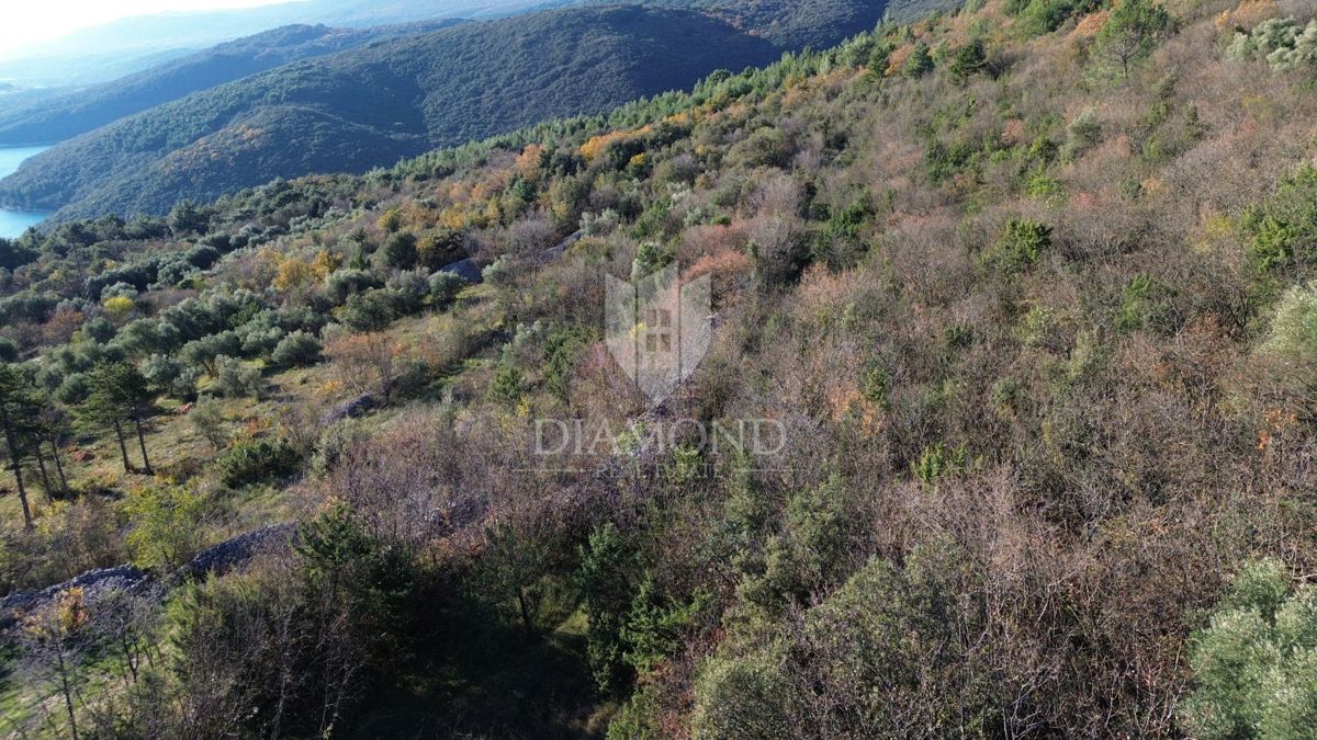 Kmetijsko zemljišče s pogledom na morje