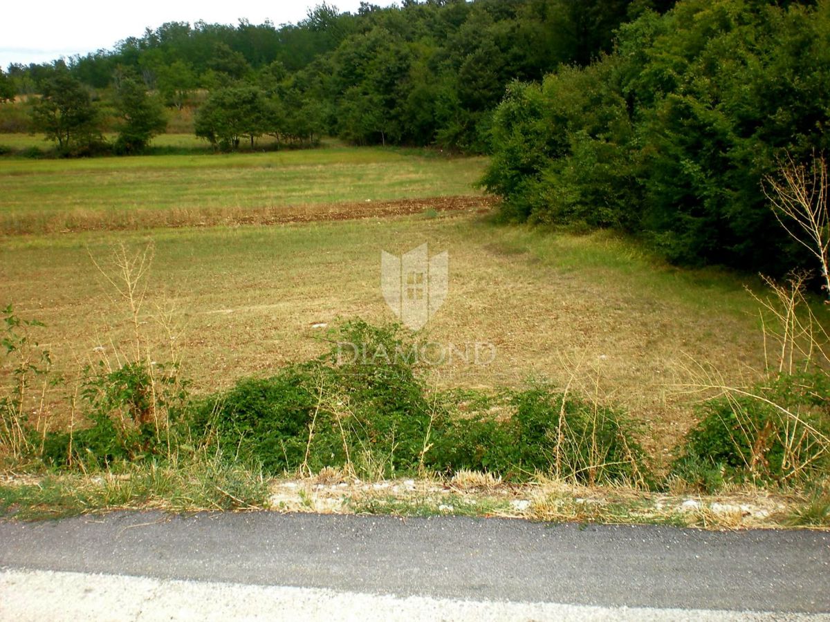Odlično zemljišče v bližini Kanfanarja
