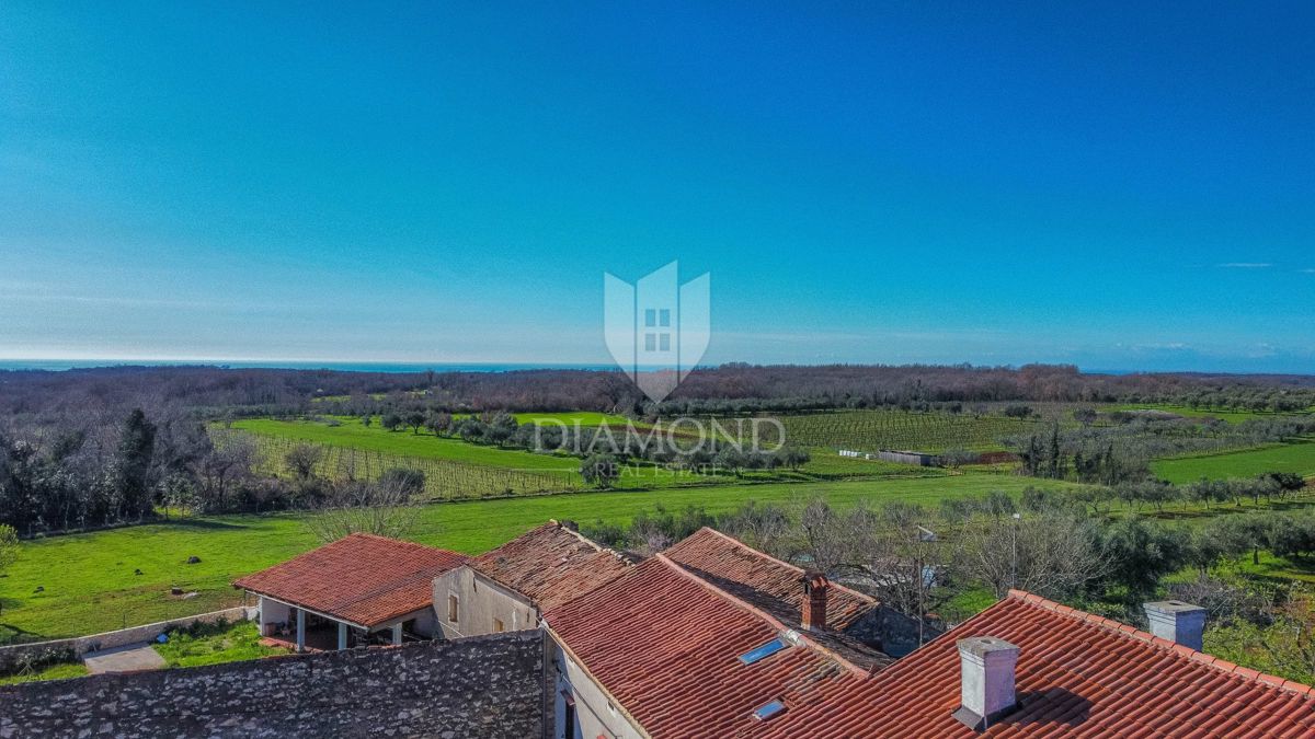 Apartmaj Brtonigla, 97m2