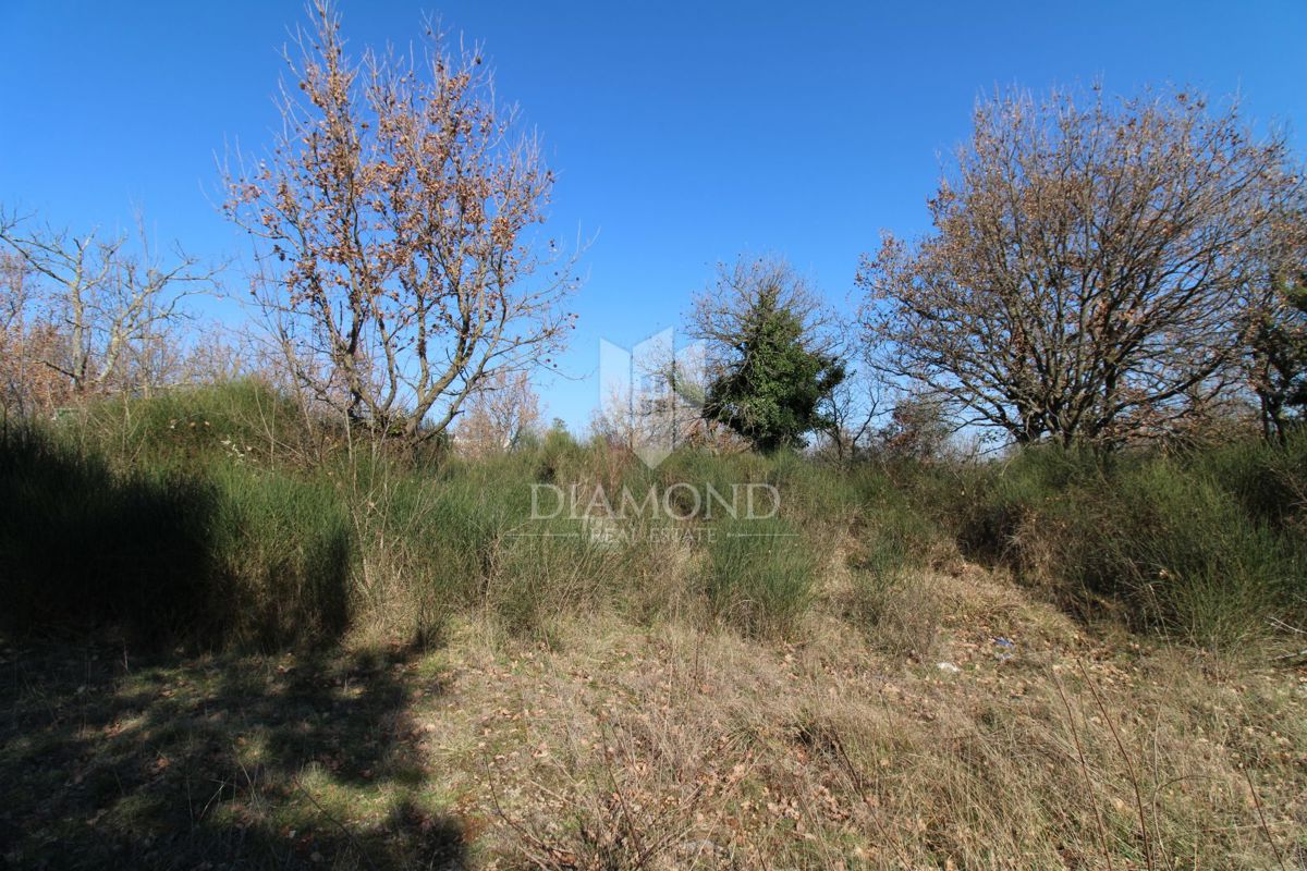 Vodnjan, prostorno zazidljivo zemljišče 