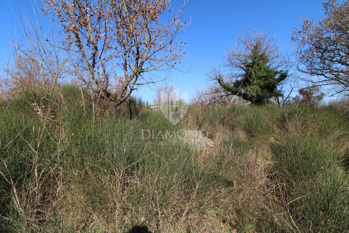 Vodnjan, prostorno zazidljivo zemljišče 