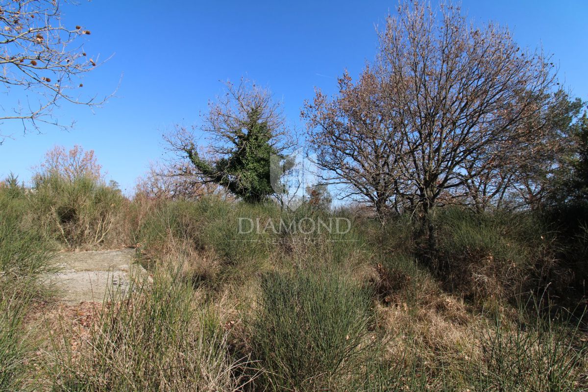 Vodnjan, prostorno zazidljivo zemljišče 