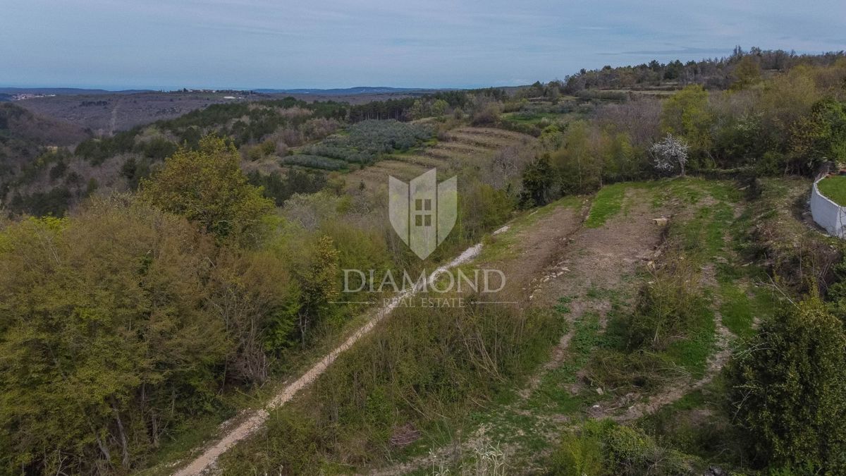Istra, Grožnjan, zemljišče s panoramskim razgledom na morje!
