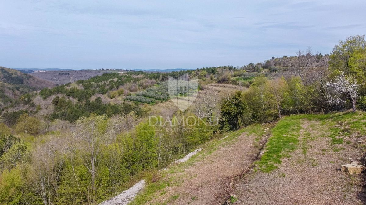Istra, Grožnjan, zemljišče s panoramskim razgledom na morje!