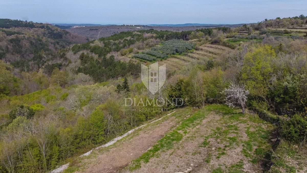 Istra, Grožnjan, zemljišče s panoramskim razgledom na morje!