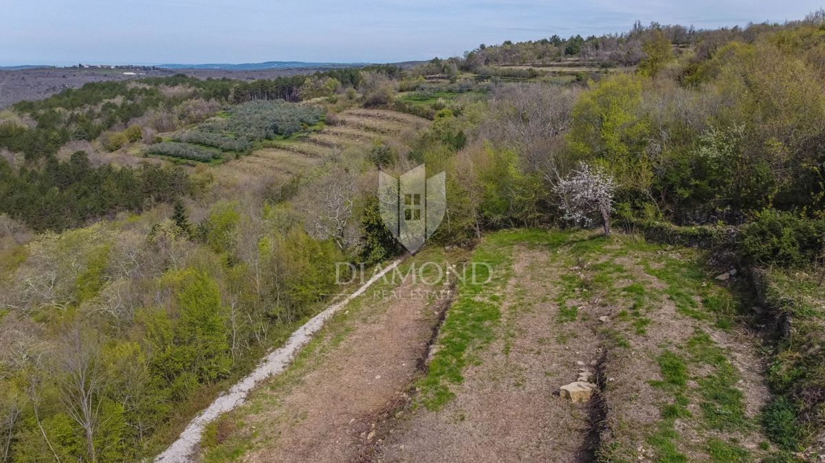 Istra, Grožnjan, zemljišče s panoramskim razgledom na morje!