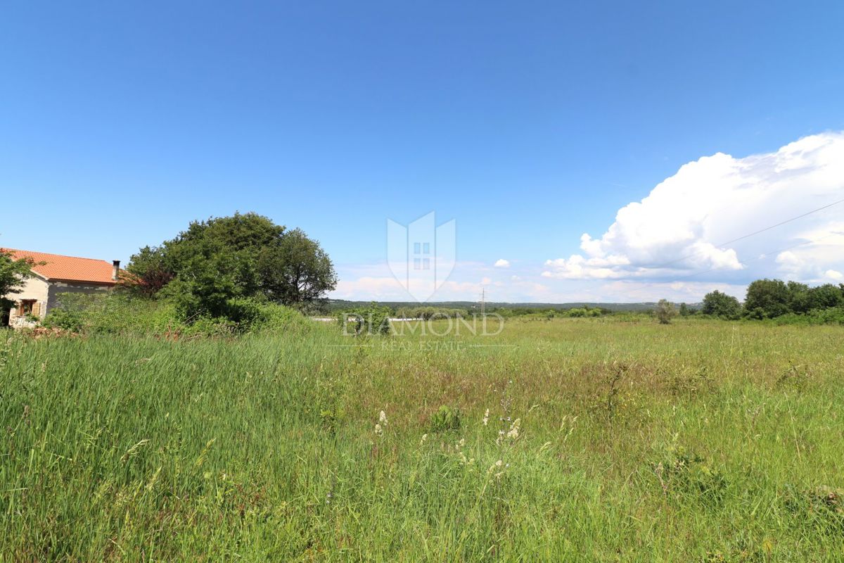 Poreč, okolica – Zazidljivo zemljišče 702 m², idealno za družinsko hišo