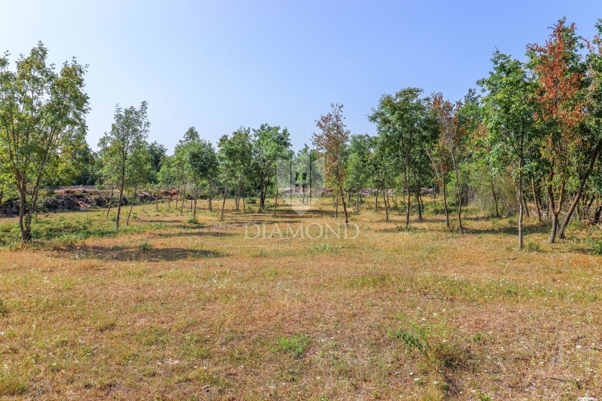 Svetvinčenat, okolica, zemljišče na mirni lokaciji