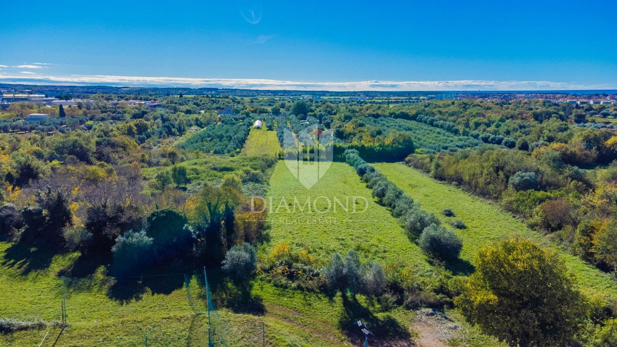 Umag, zemljišče na odlični lokaciji!