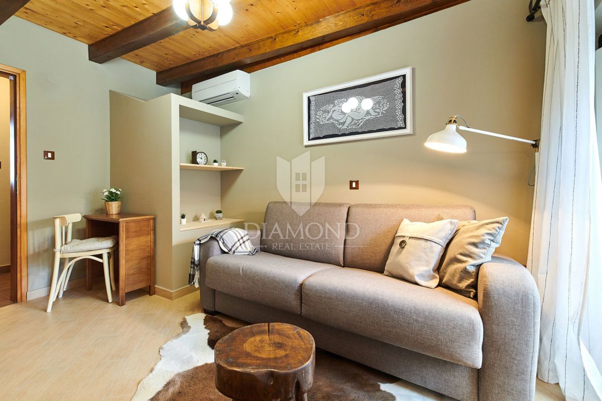 Pazin, okolica, kamnita lepotica z dvema bazenoma