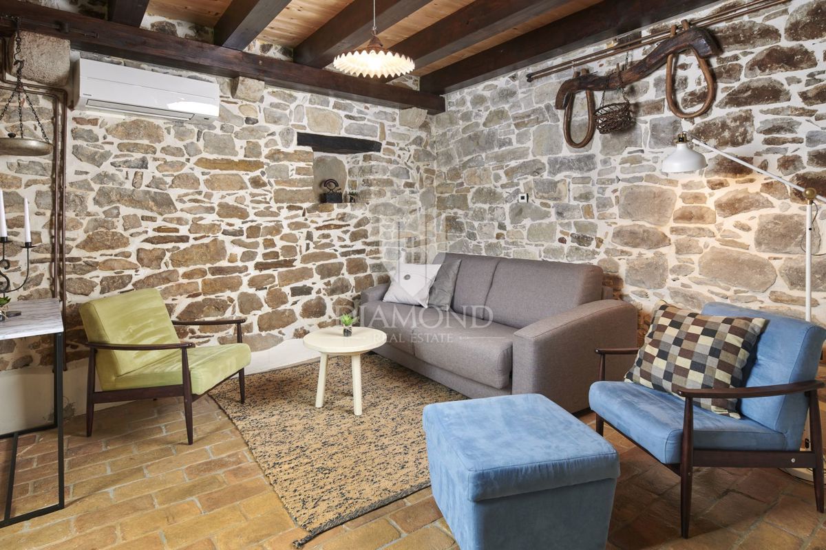 Pazin, okolica, kamnita lepotica z dvema bazenoma