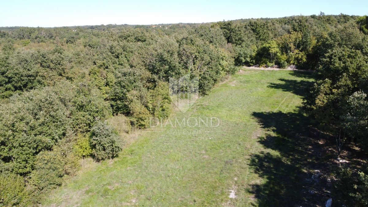 Poreč, okolica, prostorno zemljišče v naravi na osamljenem območju