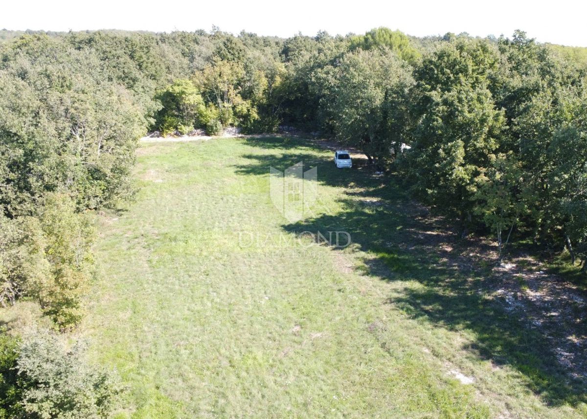 Poreč, okolica, prostorno zemljišče v naravi na osamljenem območju