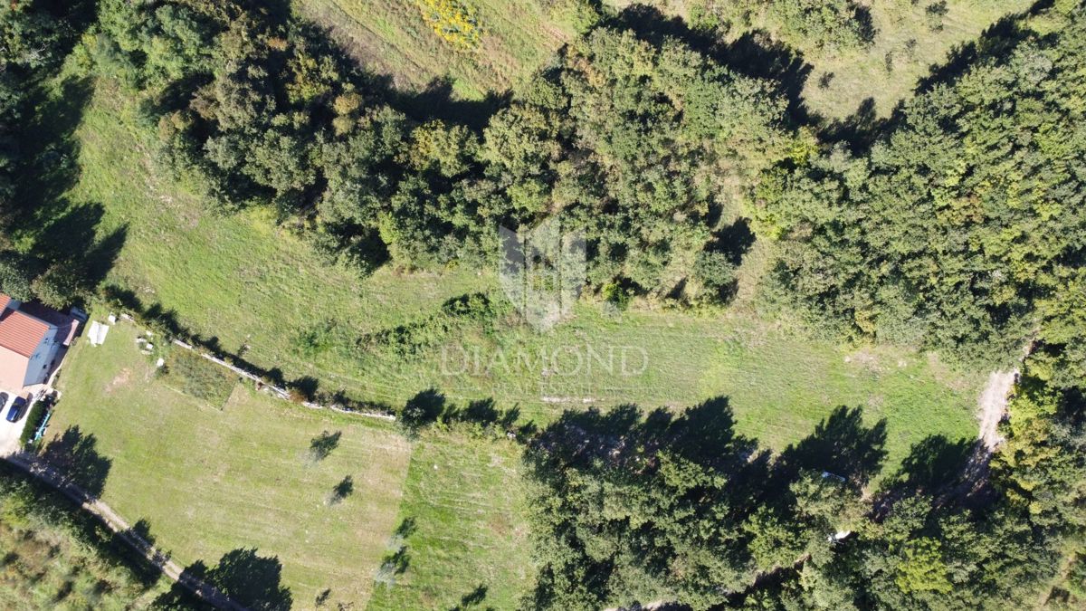 Poreč, okolica, prostorno zemljišče v naravi na osamljenem območju