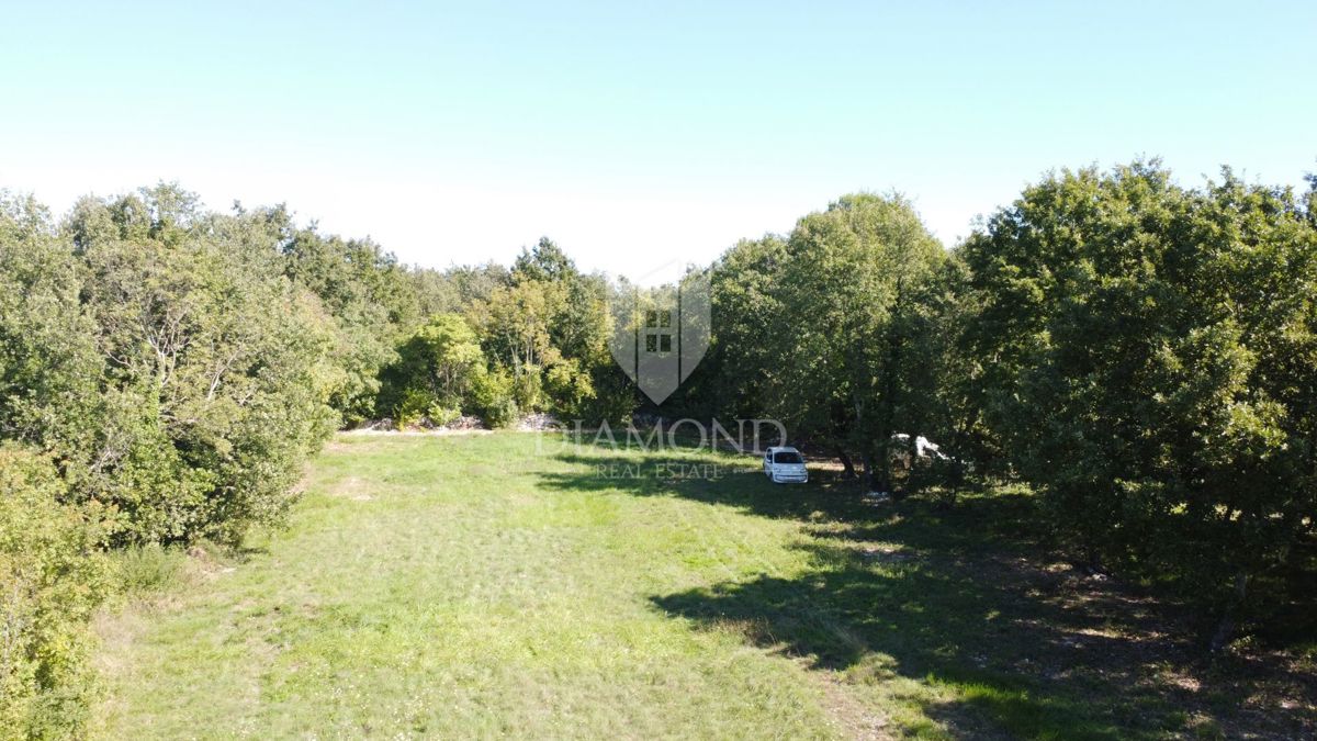 Poreč, okolica, prostorno zemljišče v naravi na osamljenem območju