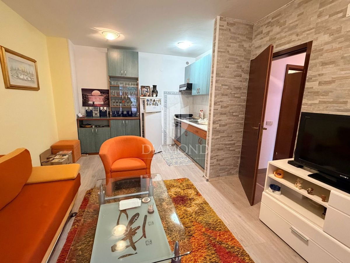 Apartma z veliko teraso, Rabac