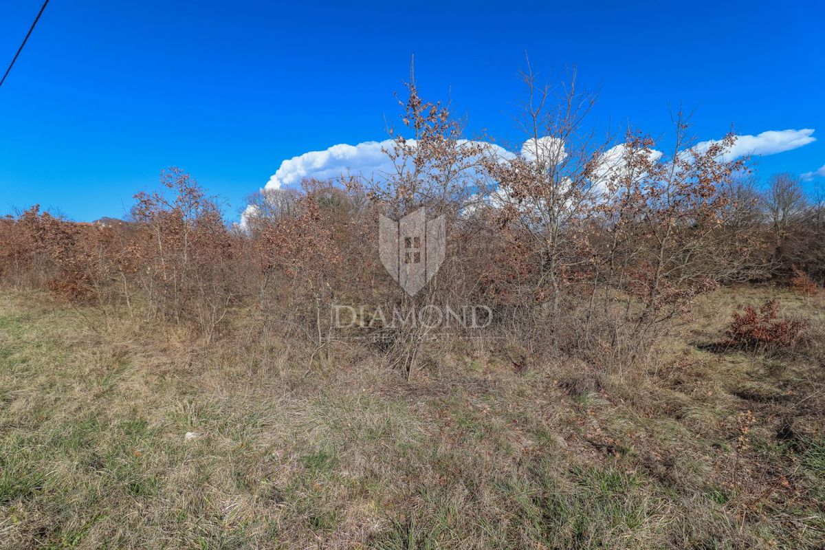 Barban, okolica, prostorno zemljišče za nove projekte