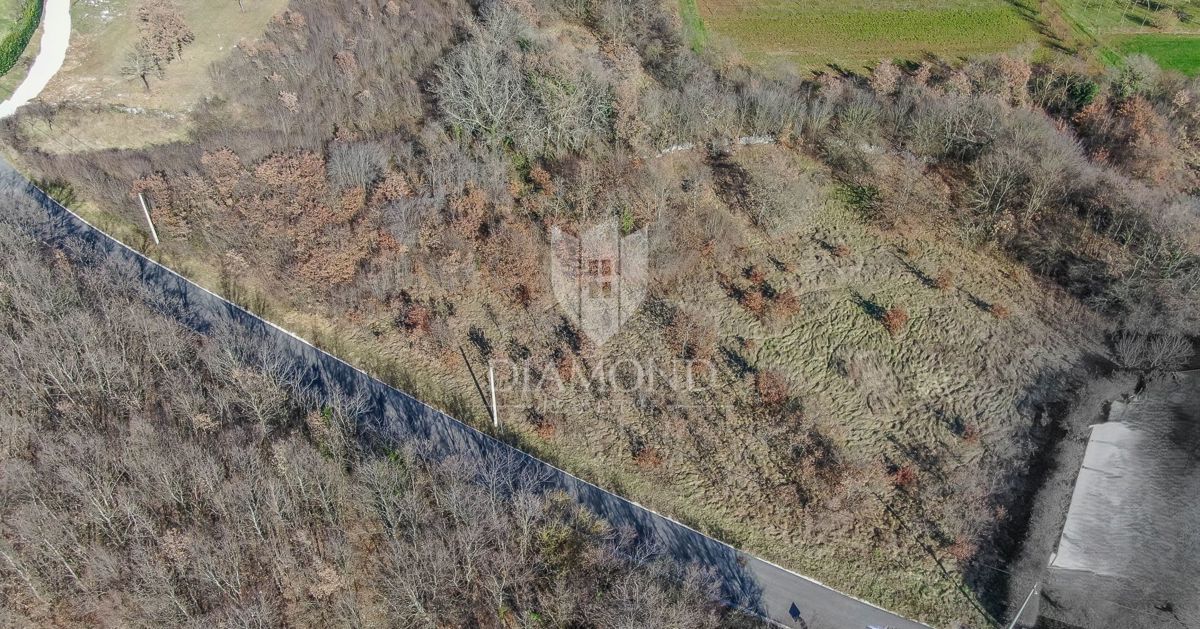 Barban, okolica, prostorno zemljišče za nove projekte