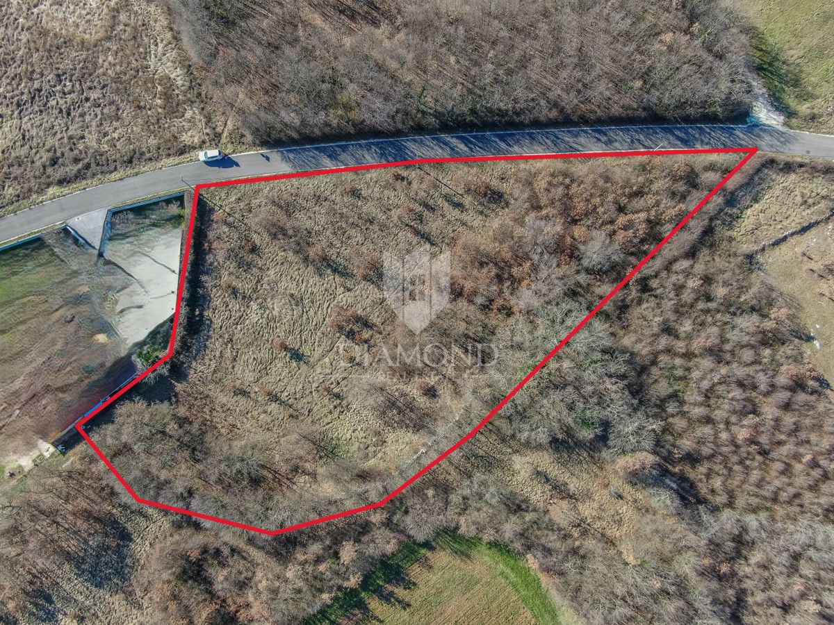 Barban, okolica, prostorno zemljišče za nove projekte