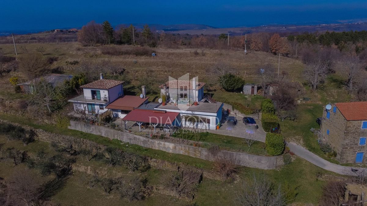 Buje, okolica- simpatična prizemnica na osunčanem zemljišču!