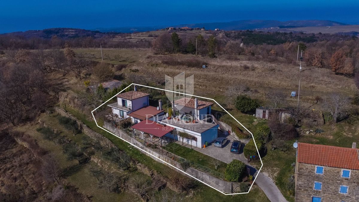 Buje, okolica- simpatična prizemnica na osunčanem zemljišču!