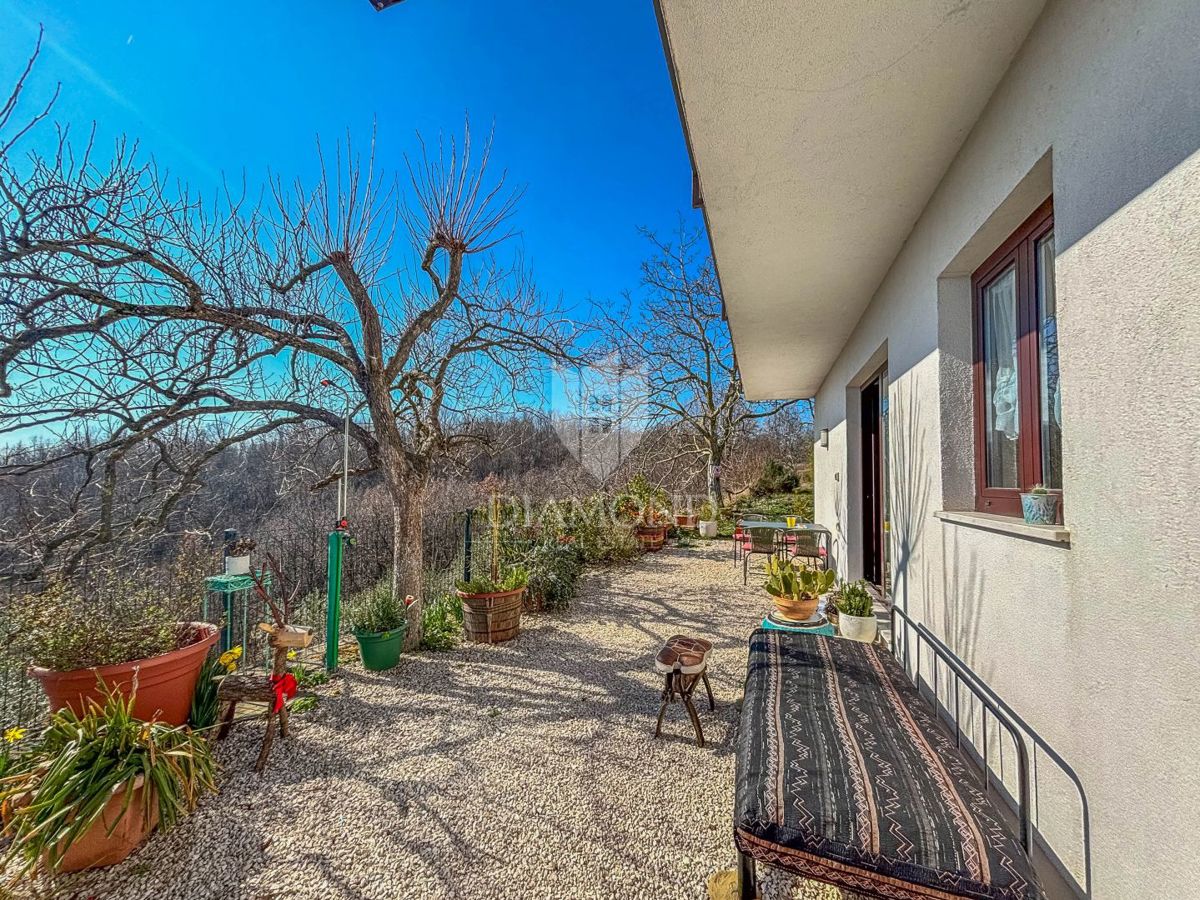 Buje, okolica- simpatična prizemnica na osunčanem zemljišču!