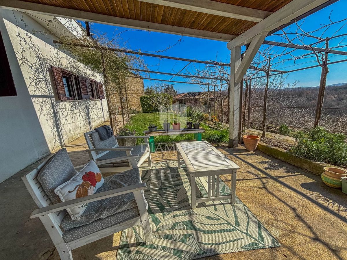 Buje, okolica- simpatična prizemnica na osunčanem zemljišču!