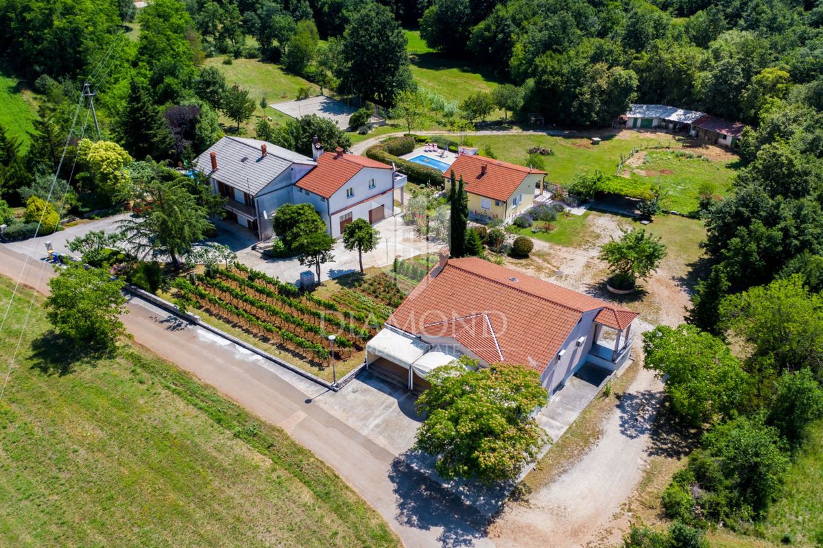 Žminj, okolica, posest z utečeno najemniško dejavnostjo