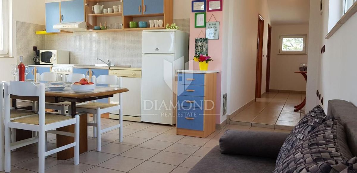 Žminj, okolica, posest z utečeno najemniško dejavnostjo