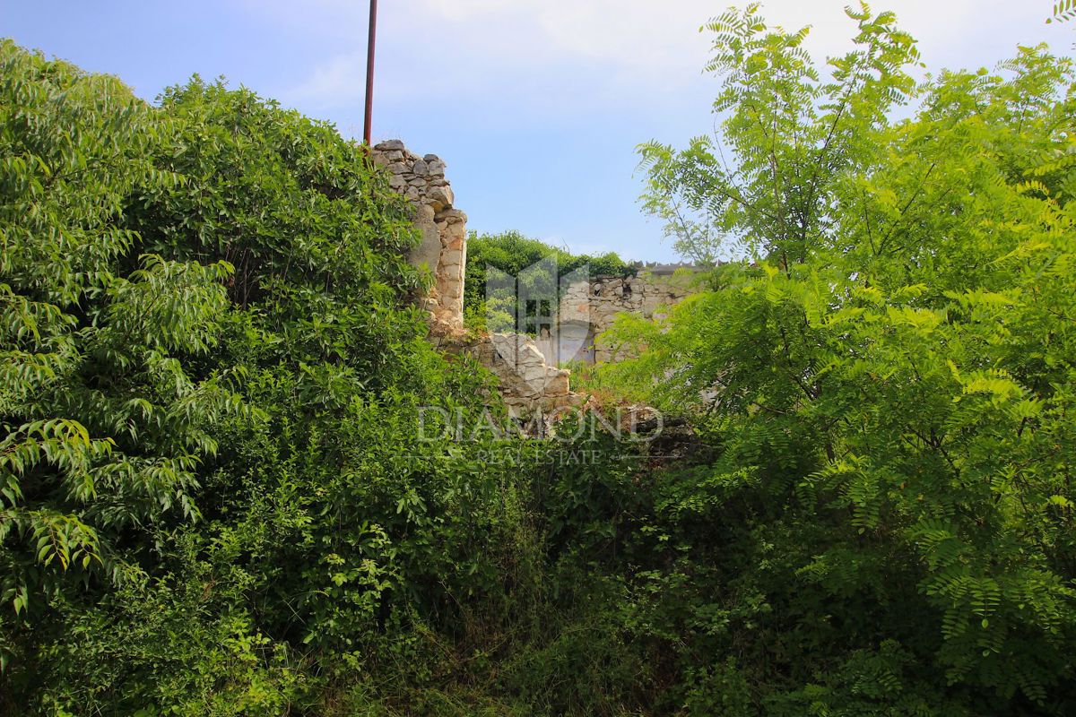 Labin, okolica, stara hiša za obnovo z zazidljivim zemljiščem