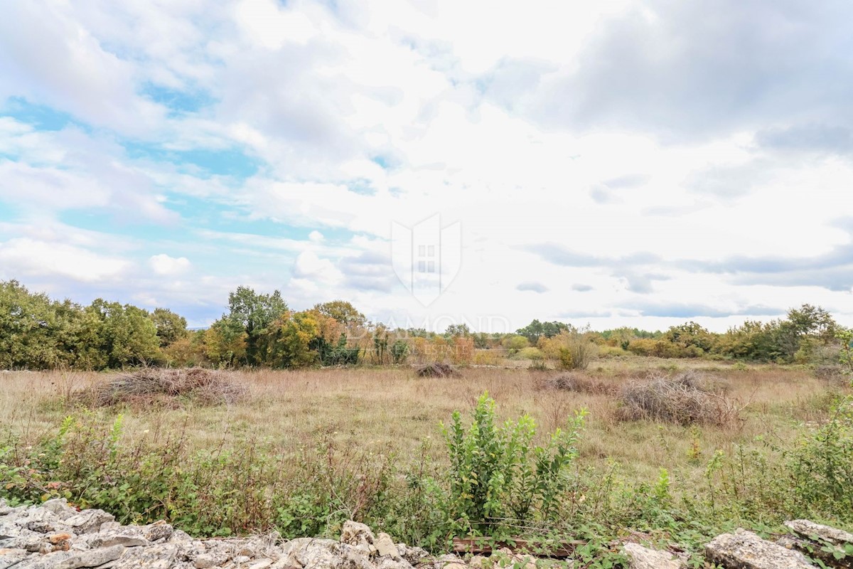 Marčana, okolica, odlično zemljišče za nove projekte