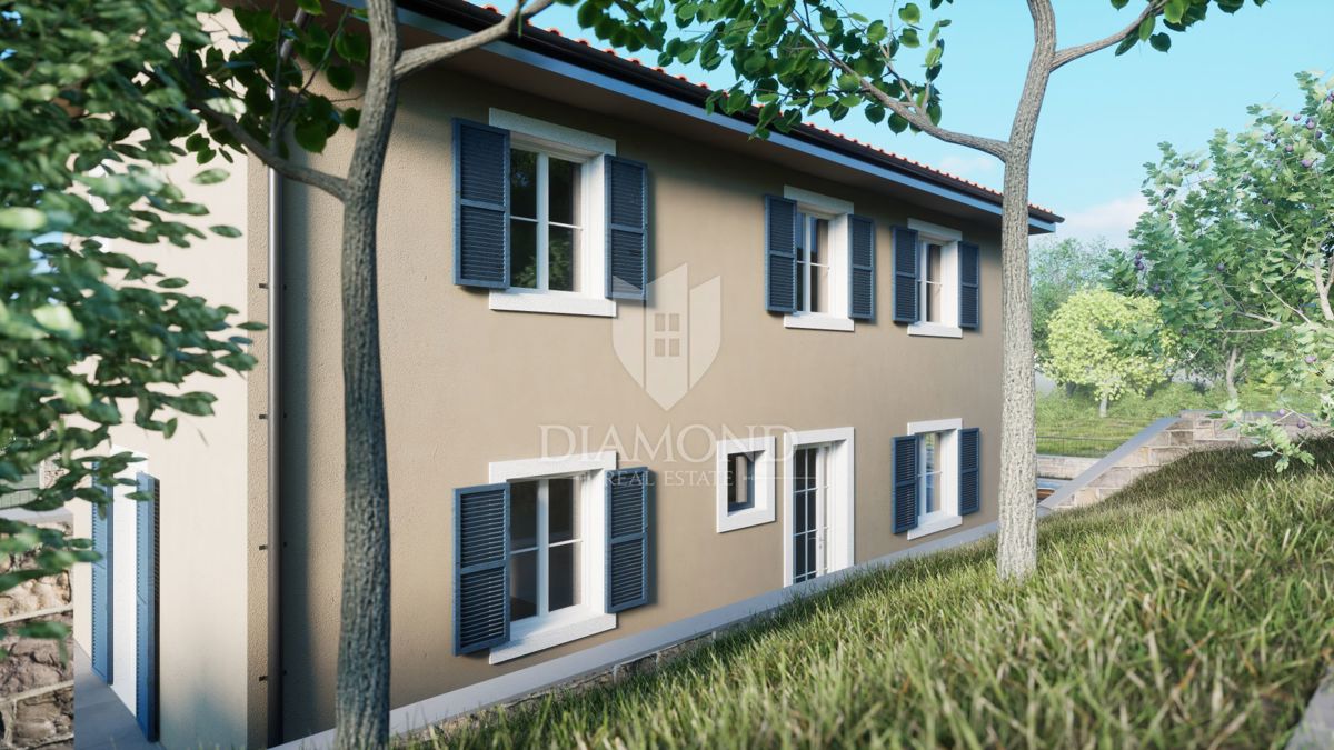 Momjan, novogradnja, vila z bazenom!
