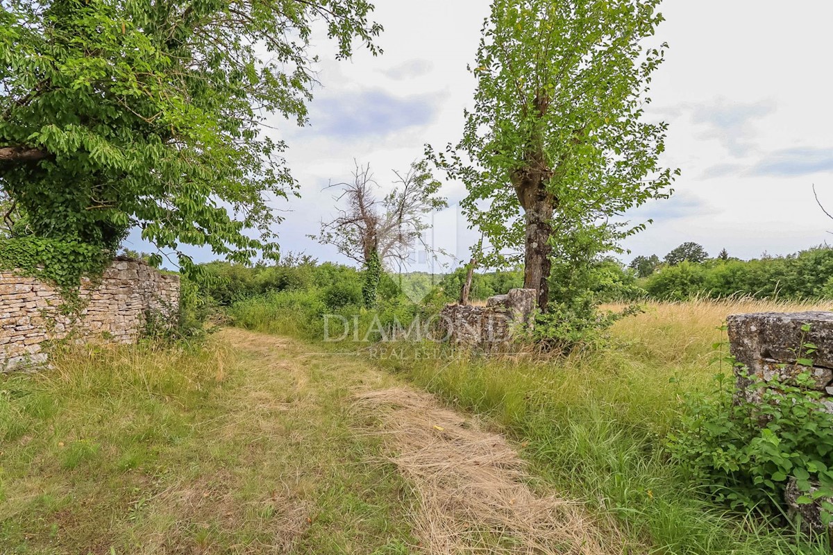 Super parcela v bližini Žminja za gradnjo hiše