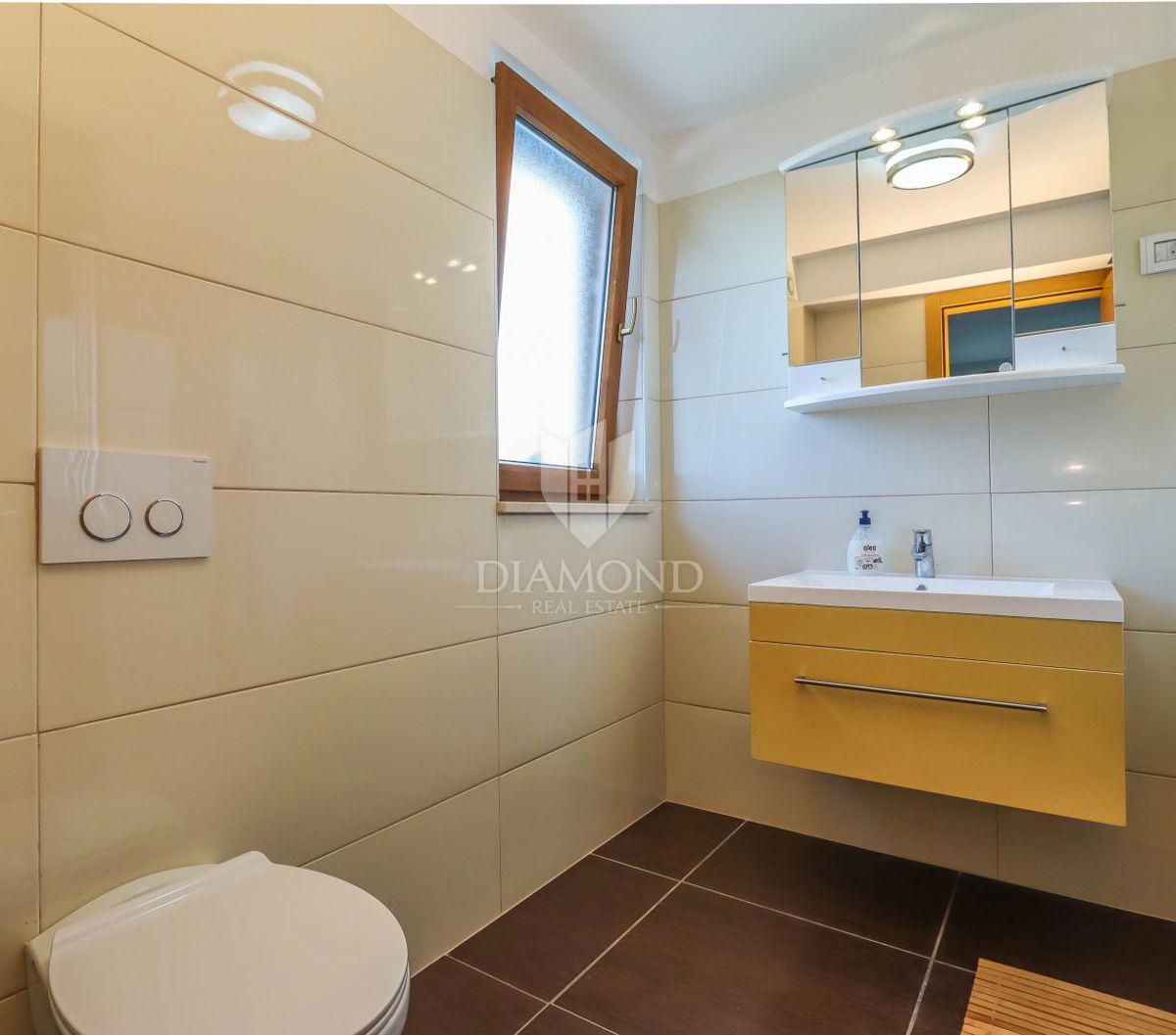 Apartmaj Ližnjan, 230m2