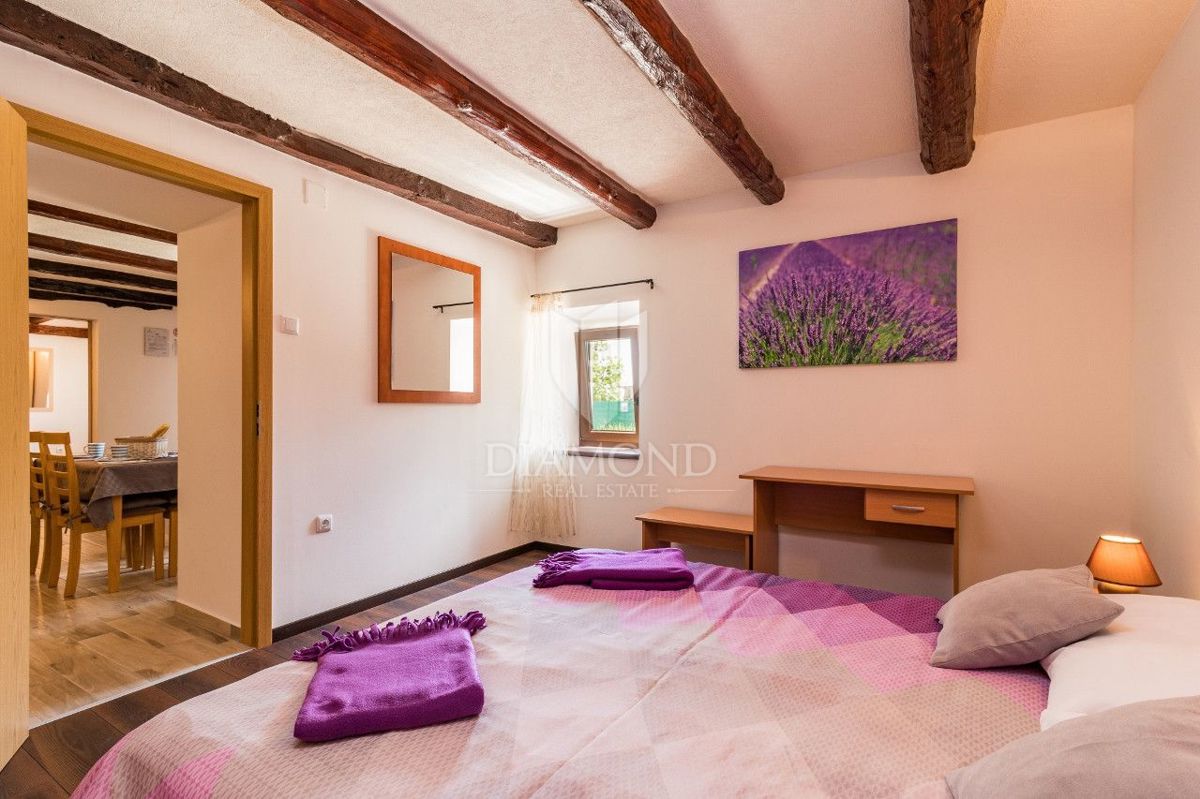 Žminj, atraktivna vila na mirni lokaciji 