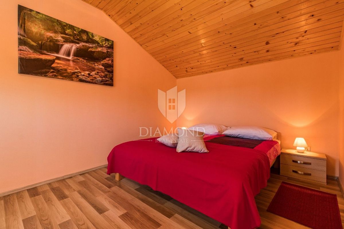 Žminj, atraktivna vila na mirni lokaciji 