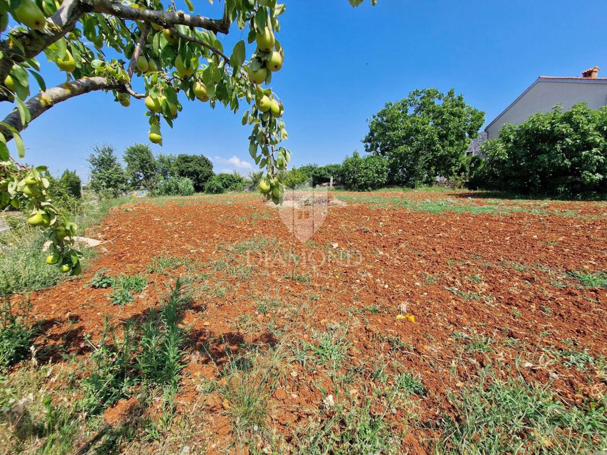 Zemljišče Novigrad, 1.119m2