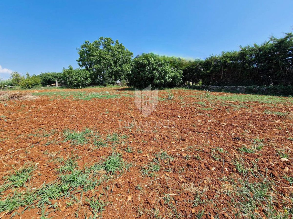 Zemljišče Novigrad, 1.119m2