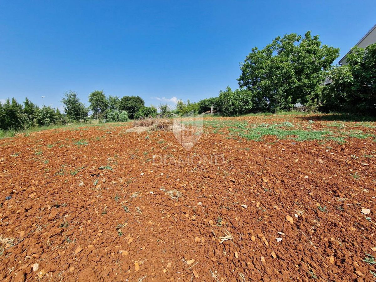 Zemljišče Novigrad, 1.119m2