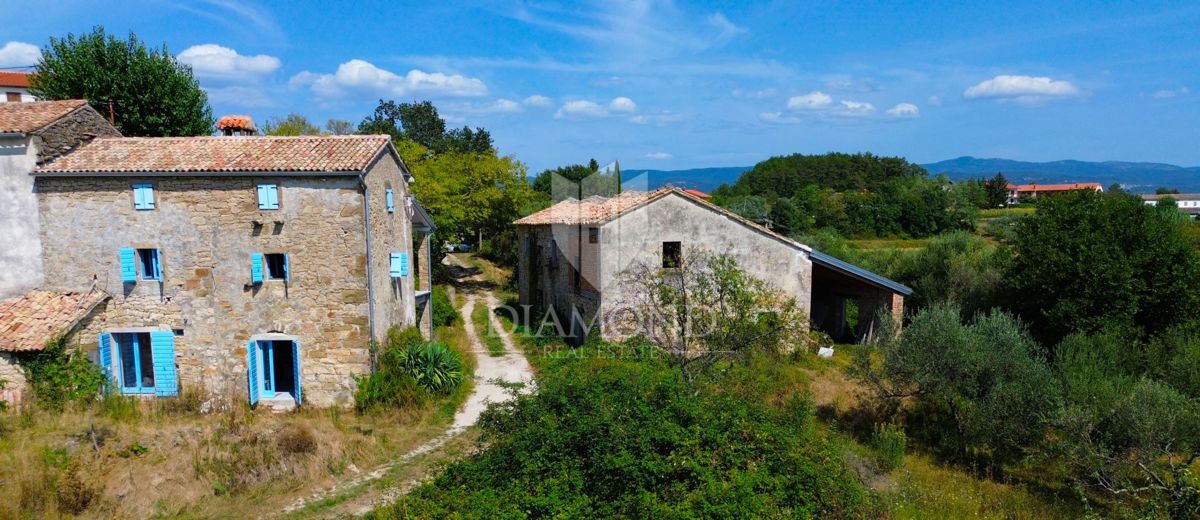 Cerovlje, okolica, posest z dvema kamnitima hišama in nasadom oljk na gradbeni parceli