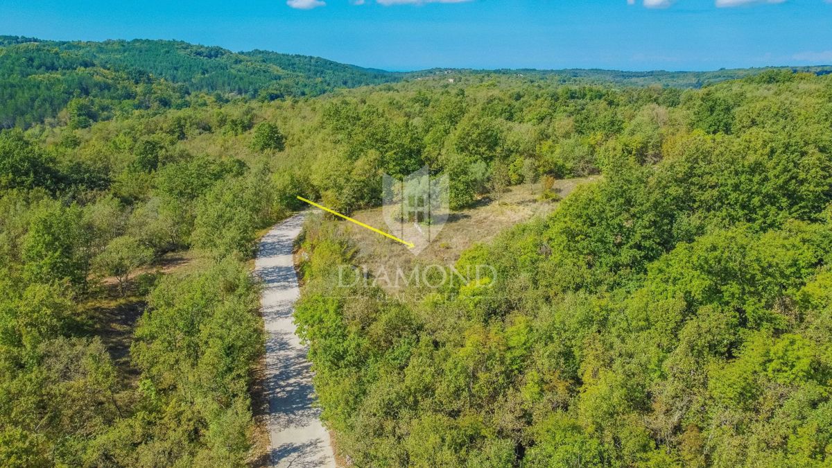 Grožnjan, okolica! Zemljišče na mirni lokaciji!