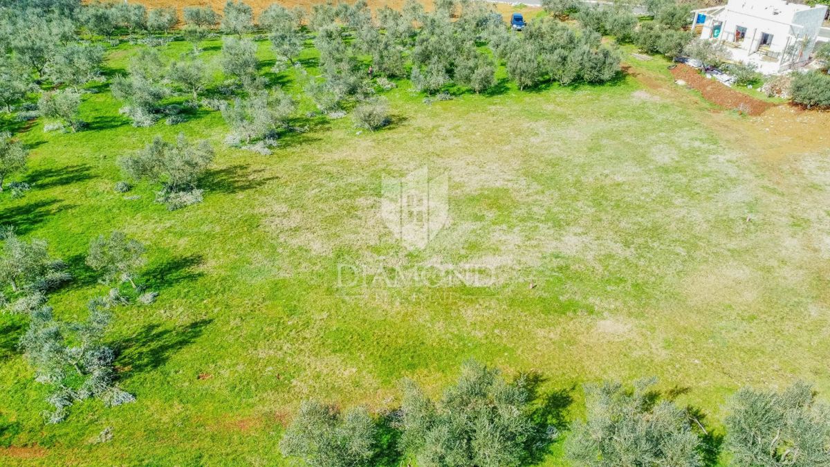 Zemljišče Buje, 1.423m2