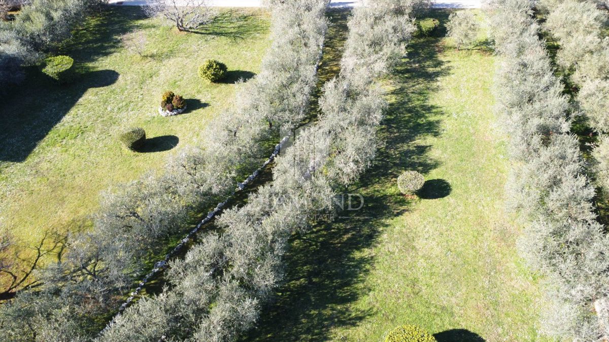 Poreč – Okolica – Čudovita Gradbena Parcela z Oljčnim Nasadom