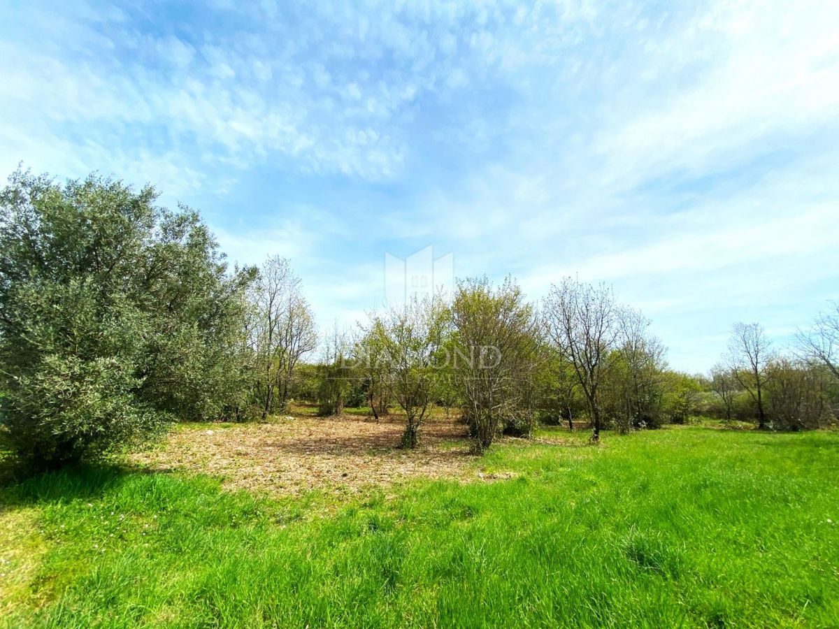 Zemljišče Poreč, 2.200m2