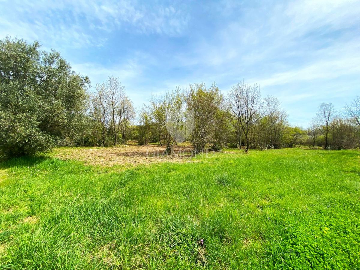 Zemljišče Poreč, 2.200m2